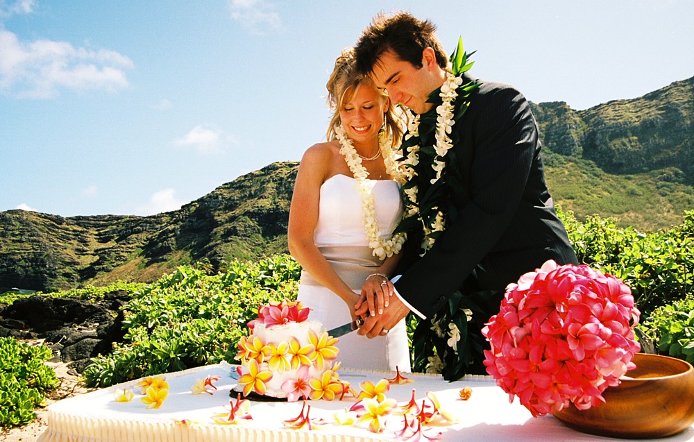 Justin cuts the cake with a large pink bouquet